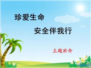 中学生安全教育PPT课件首页